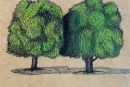 Fur-Trees