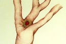 Peasant's-Nest