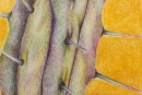 Triple-Horn