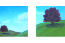 twotreesii_1999