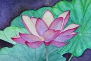 Lotus Flower #1, watercolor
