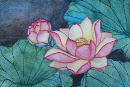 Lotus Flowers #3, watercolor