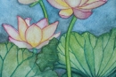 Lotus Flowers #5, watercolor