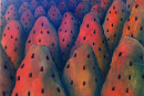 ant-city_1999_oil_v1_psd
