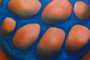 bumps_1998_0