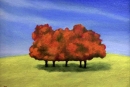 Orange Trees                               