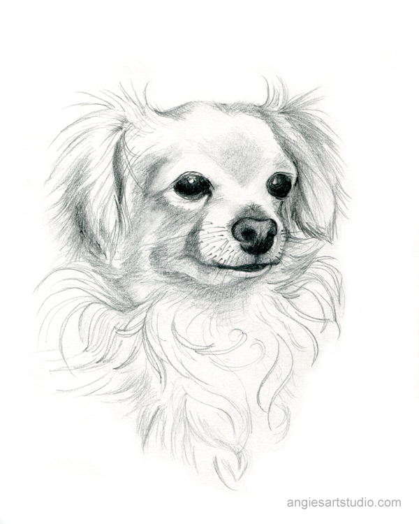 Chihuahua Mix Dog, Custom Pet Portrait, Hand Drawn Dog Portrait 
