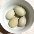 The Eggs Have Landed! Plus Tips For Storing Home Grown Eggs