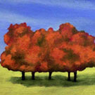 Orange Trees, 2003