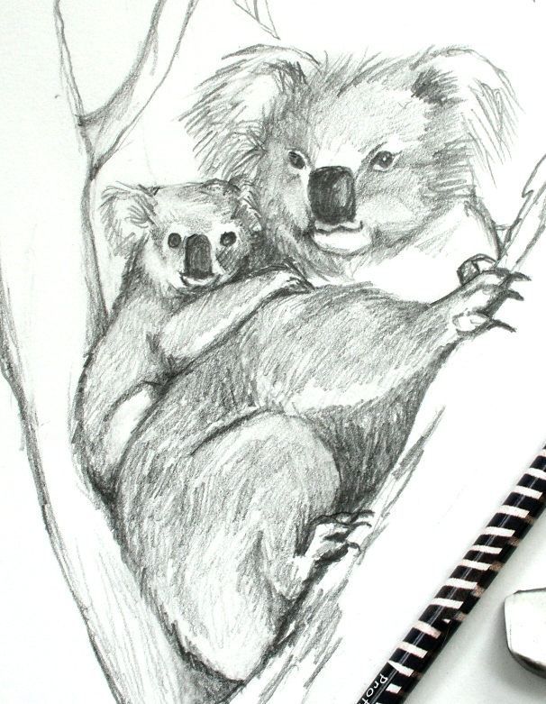 drawing of mother koala with baby, koala bear