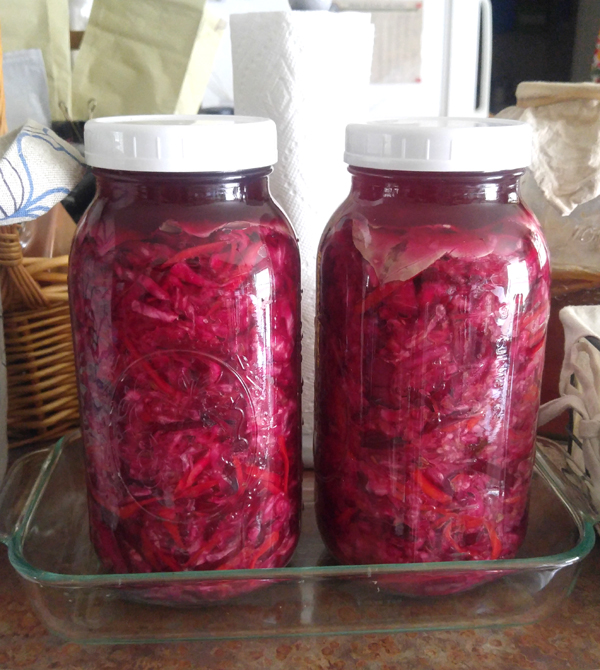 sauerkraut 3 days of fermenting